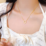 Vòng cổ bằng thép titan khí chất thời trang đơn giản phong cách Âu Mỹ, Dây Chuyền xương đòn cao cấp ít người nổi tiếng trên mạng cùng kiểu