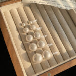 Bông tai đính ngọc trai đơn giản dễ phối kim bạc 925 Hoa tai hoa tai xỏ lỗ cổ điển cùng kiểu dáng mãi mãi sang trọng cho nữ